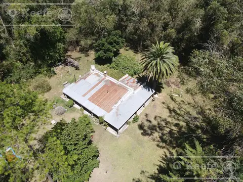 5 has en Veronica - Chacra en Venta con Importante Arboleda