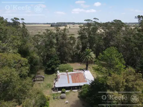 5 has en Veronica - Chacra en Venta con Importante Arboleda
