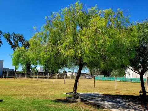 Terreno en Venta en Pilar del Este - San Ramiro, USD 39.500