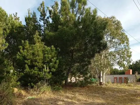 Terreno en Venta de 995,0 m2