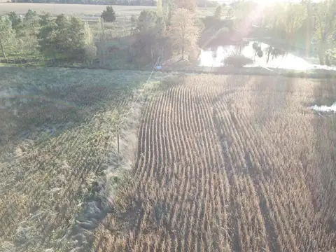 Ruta 8 y Diego Gaynor