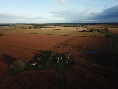 Ruta 8 y Diego Gaynor