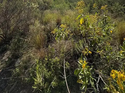 LOTE  EN LA DESEADA  / FINANCIO RECIBO VEHICULO