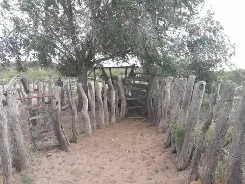 Casa Campo  en Venta en La Reforma, Limay Mahuida, La Pampa - BLA5679_LP573151_5