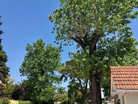 Simon de Iriondo al 800