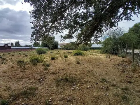 San Martin y Patagonia