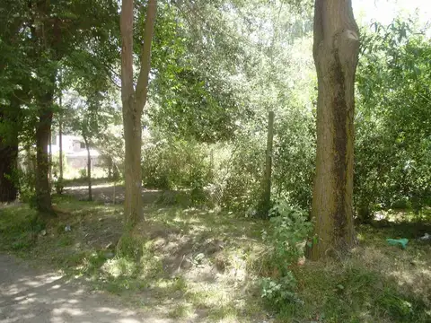 Terreno en venta - 2500 mts2 - Junín De Los Andes