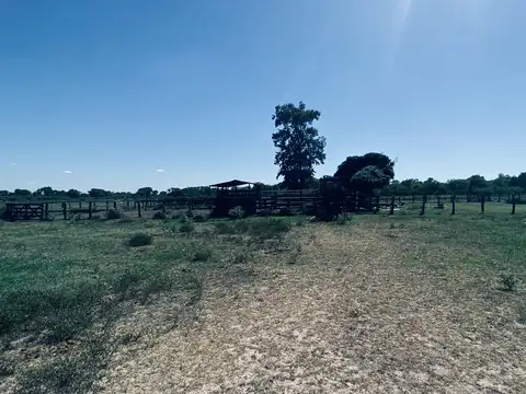 Campo en Venta de 800  ha