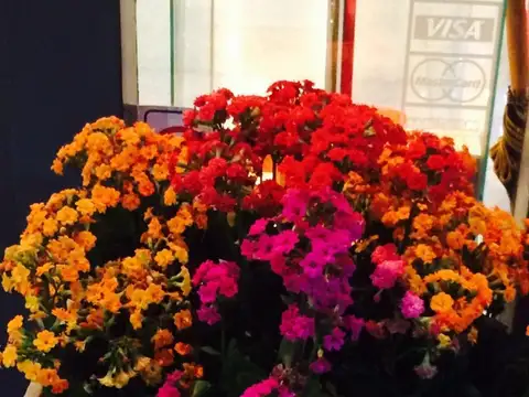 Fondo Comercio en Venta en Palermo, USD 20