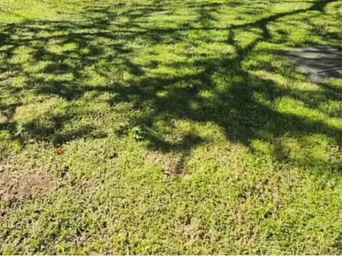 Lindísima Casa C Pileta-oldman 2400