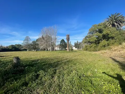 CAMPO EN VENTA EN OLMOS 27 HECTAREAS