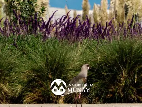 Terreno en Venta de 324,0 m2