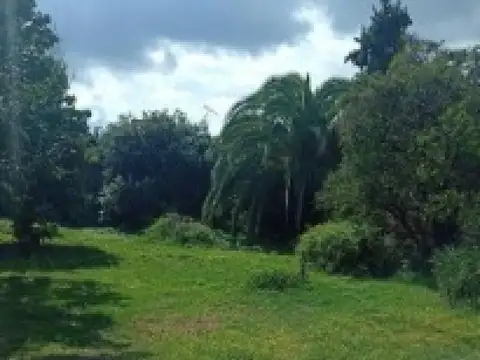 Julián Castro e/ Avenida Argentina y Victoriano Loza