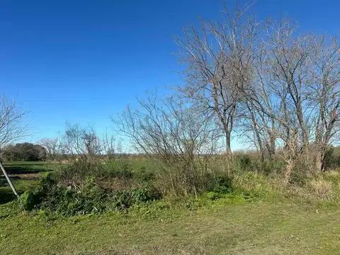 GRAN TERRENO LOTEADO SOBRE RUTA 25 KM 7,5