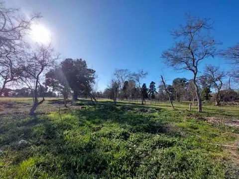 Terreno en Venta de 640,0 m2