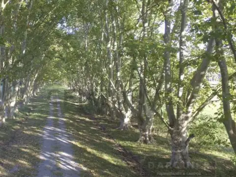 Aristóbulo del Valle 1300, Piso 0