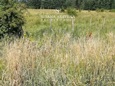 Callejon de Bello 100