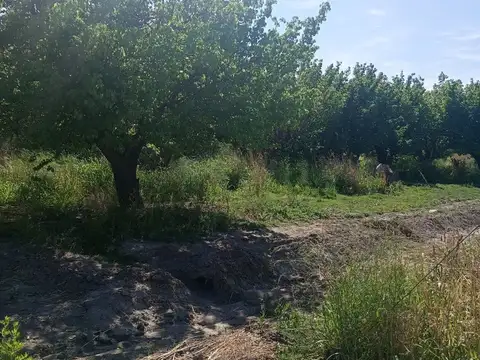 Terreno en Venta en Las Catitas, USD 65.000