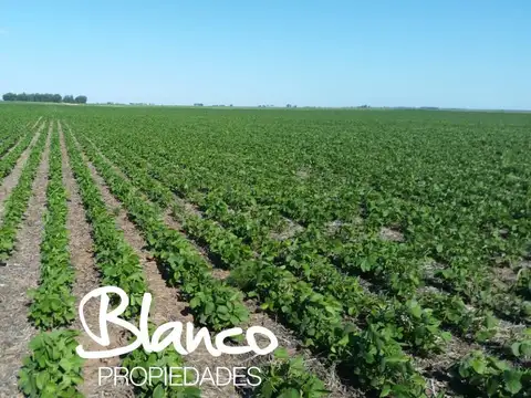 Casa en Venta en Winifreda, USD 1