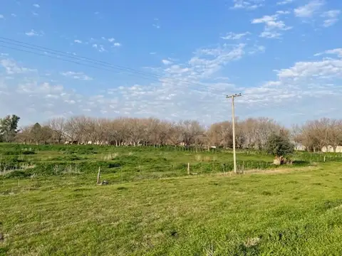 2 has s/asfalto casa servicios arboleda tranquilidad