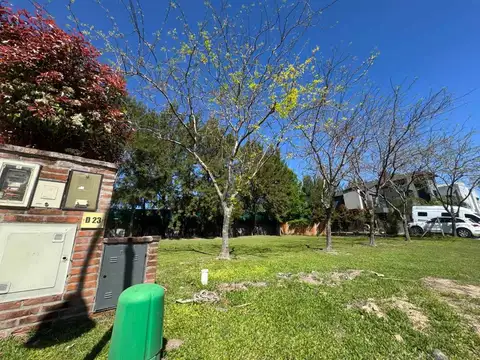 Avenida Constituyentes 2200