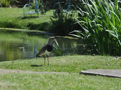 Terreno en Venta en General Pacheco, USD 69.000