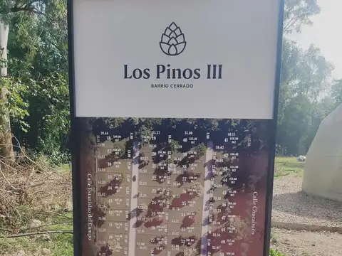 TERRENO A LA VENTA EN BARRIO LOS PINOS III DE YEI PORA