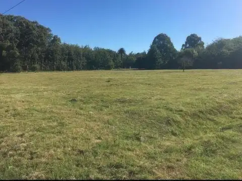 Terreno en venta - 705mts2 - Magdalena