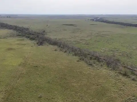 1000 hectareas ganaderas sobre ruta