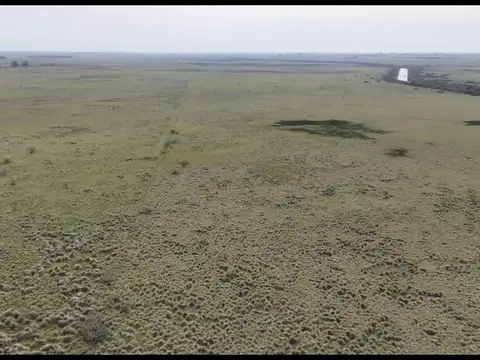 1000 hectareas ganaderas sobre ruta