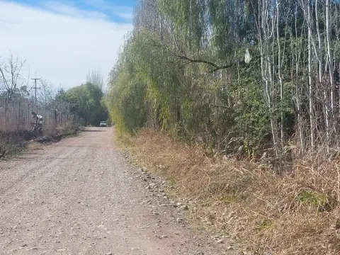 Terreno en Venta de 100000,0 m2