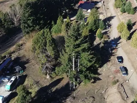 potrero alto san martin de los 100