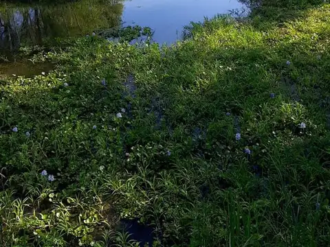 Casa en venta - 1 Dormitorio 1 Baño - 1.000Mts2 - Zárate