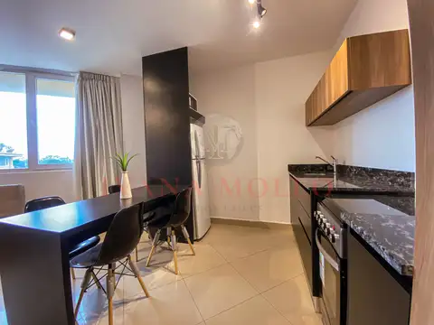 DEPARTAMENTO 226 MONOABIENTE CON DIVISION EN ALQUILER - PASEO EL AGORA