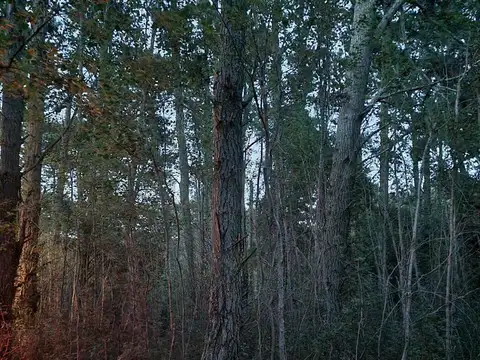 Av. Tucumán esq. calle 6