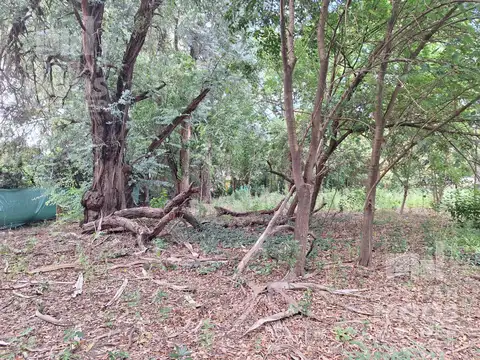 Terreno en venta Garin.