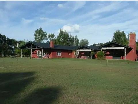 Campo en Ruta 11, km 360