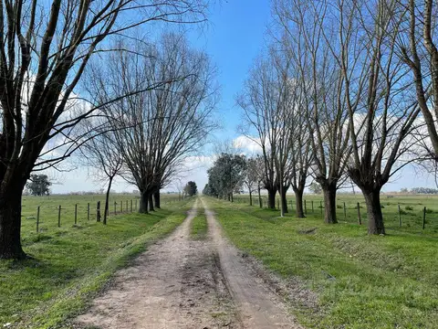 Campo Haras 48 Ha. A 1500 Mts. De Ruta 6 - Marcos Paz