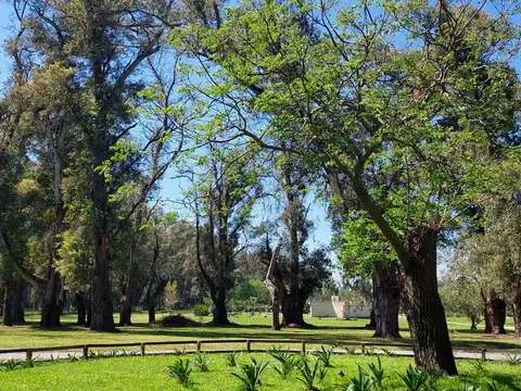 LOTE COMARCAS DE LUJAN 2000 M2