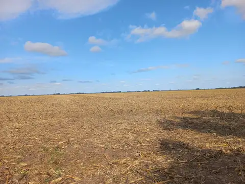 Venta Campo en Fighiera