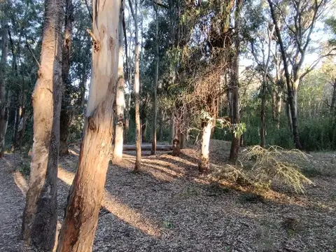 Terreno en Venta de 1300,0 m2