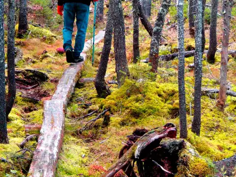 Terrenos en Zona Rivereña - Lomas del Paraná, Villa Constitución