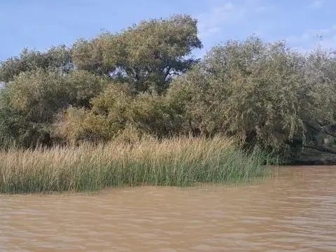 VENTA LOTE EN RIO PARANA DE LAS PALMAS