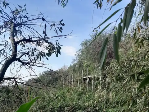 Primera Sección de Islas 100