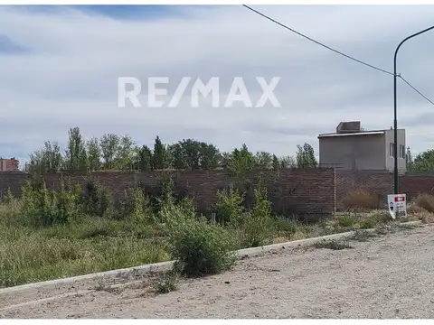 VENTA LOTE FERNANDEZ ORO