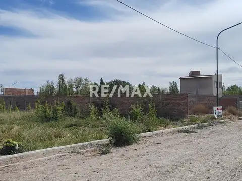 VENTA LOTE FERNANDEZ ORO