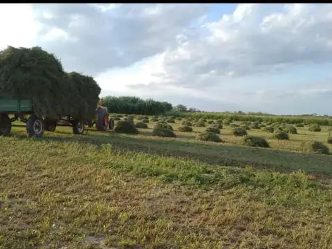 Campo en Venta de 50  ha