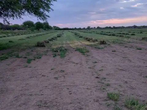 Campo en Venta con Alambrado