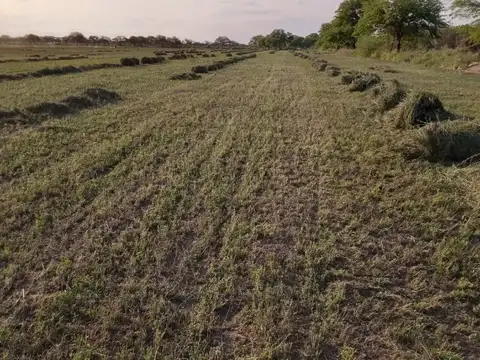 Campo en venta en Colonia Dora ,Santiago Del Estero