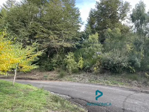 VENTA LOTE 4.283m2 c/vista parcial de Lago, zona Puerto, Villa La Angostura